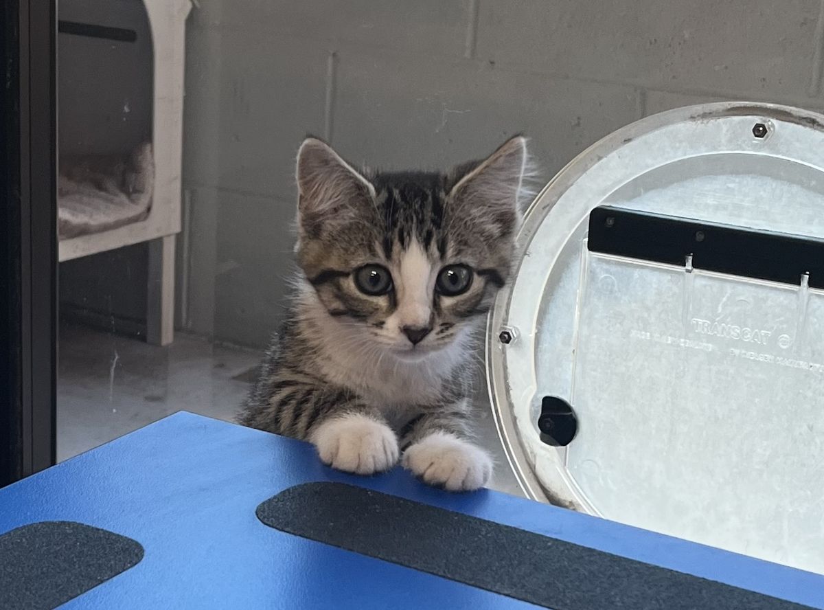 Gallery image: Top Deck