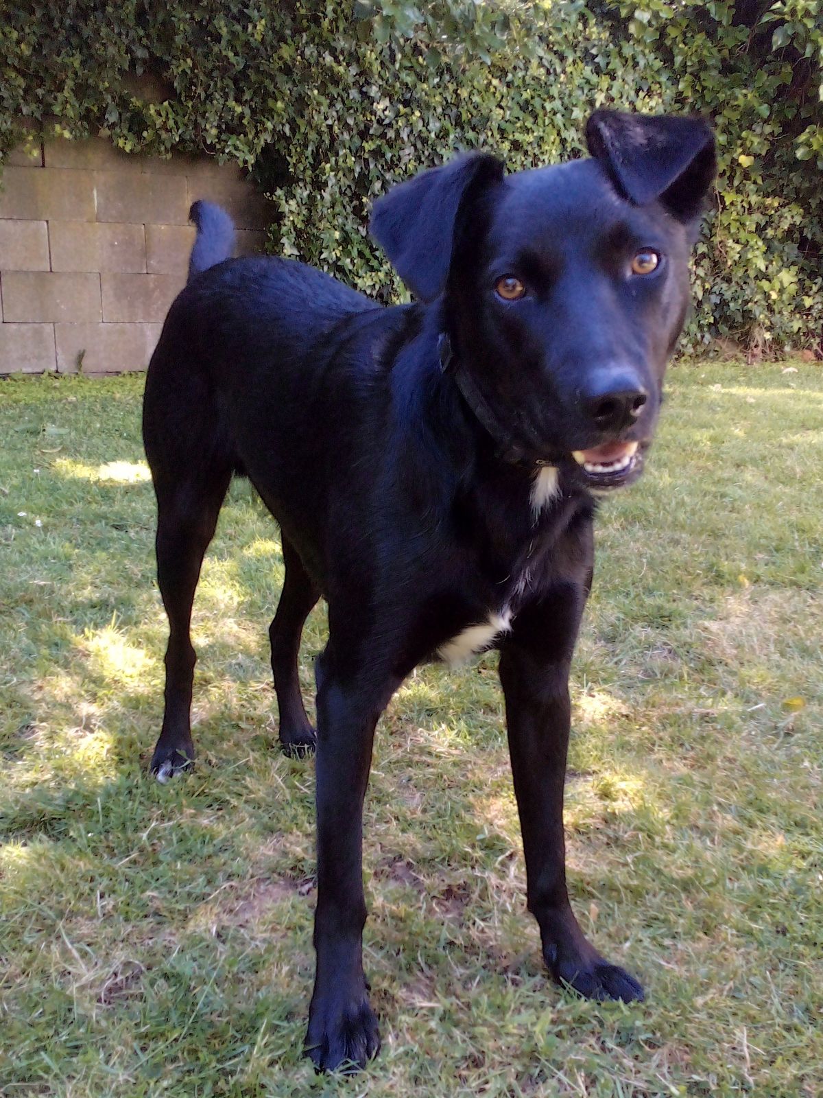 Gallery image: Lucky