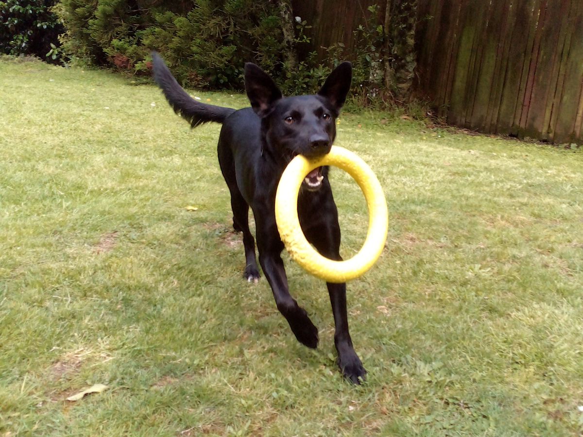 Gallery image: Lucky