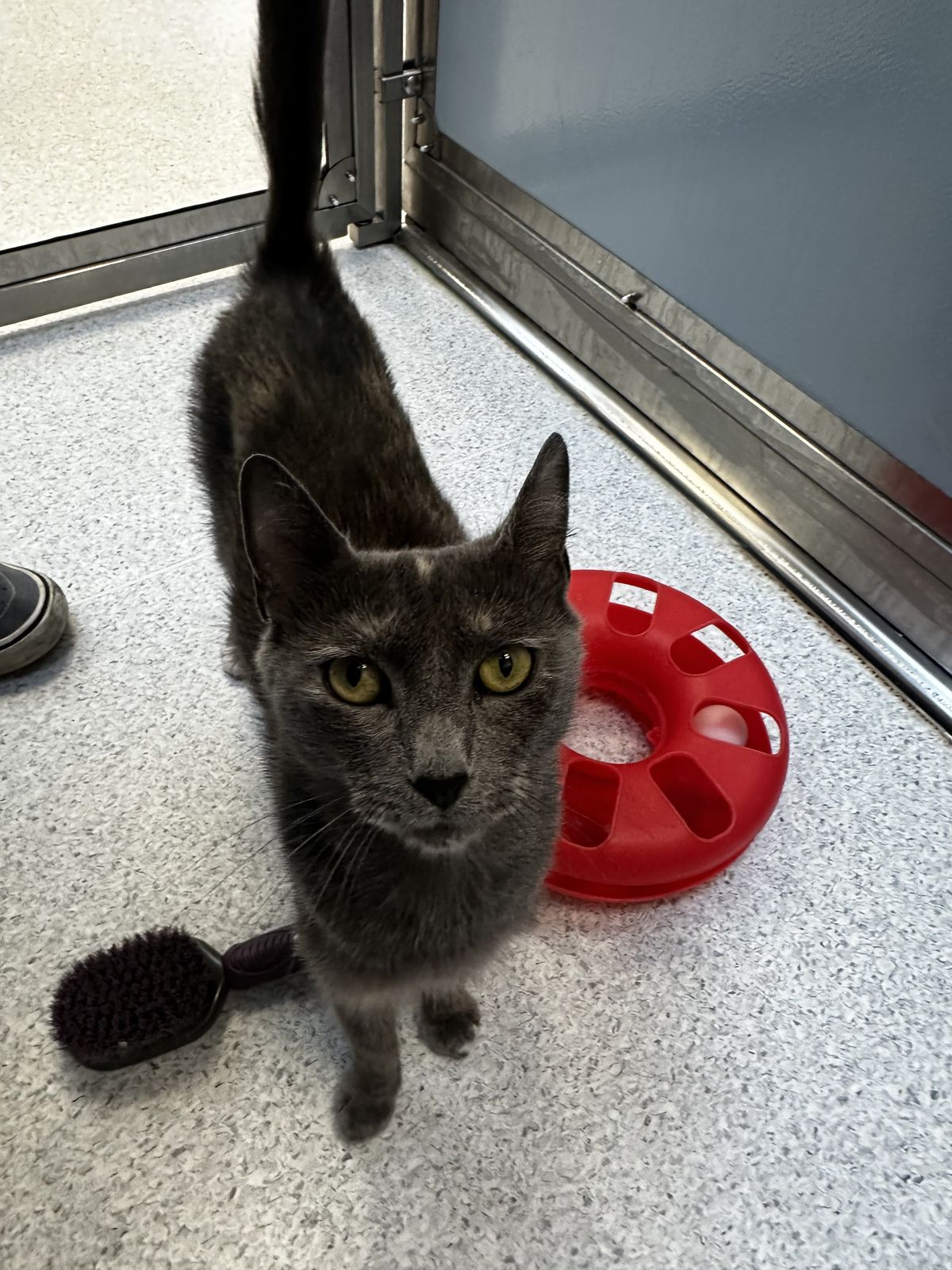 Gallery image: Angel