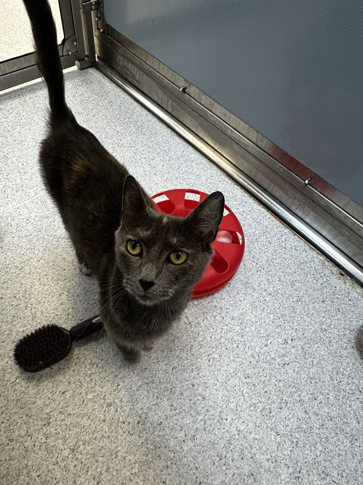 Gallery image: Angel