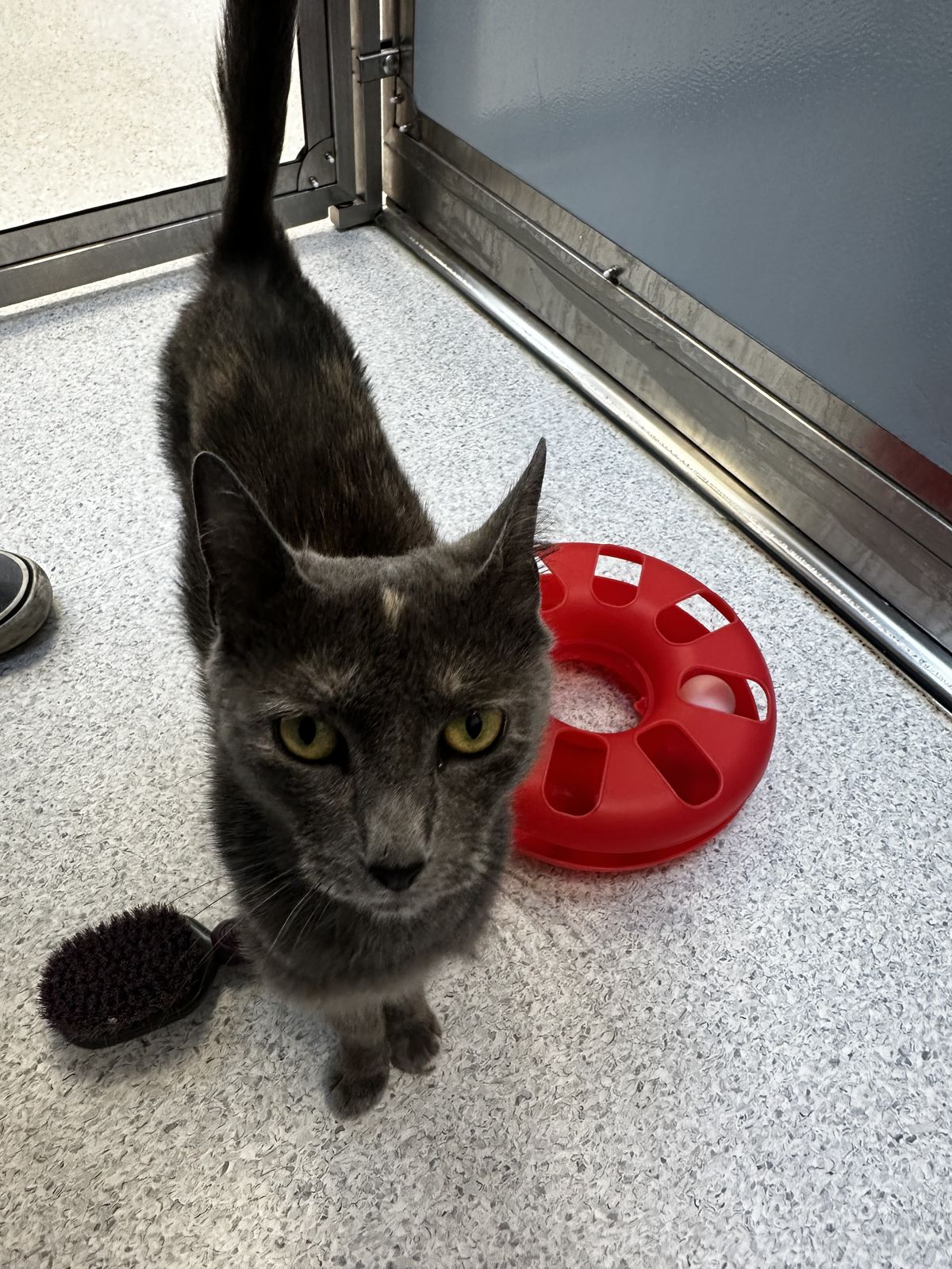 Gallery image: Angel