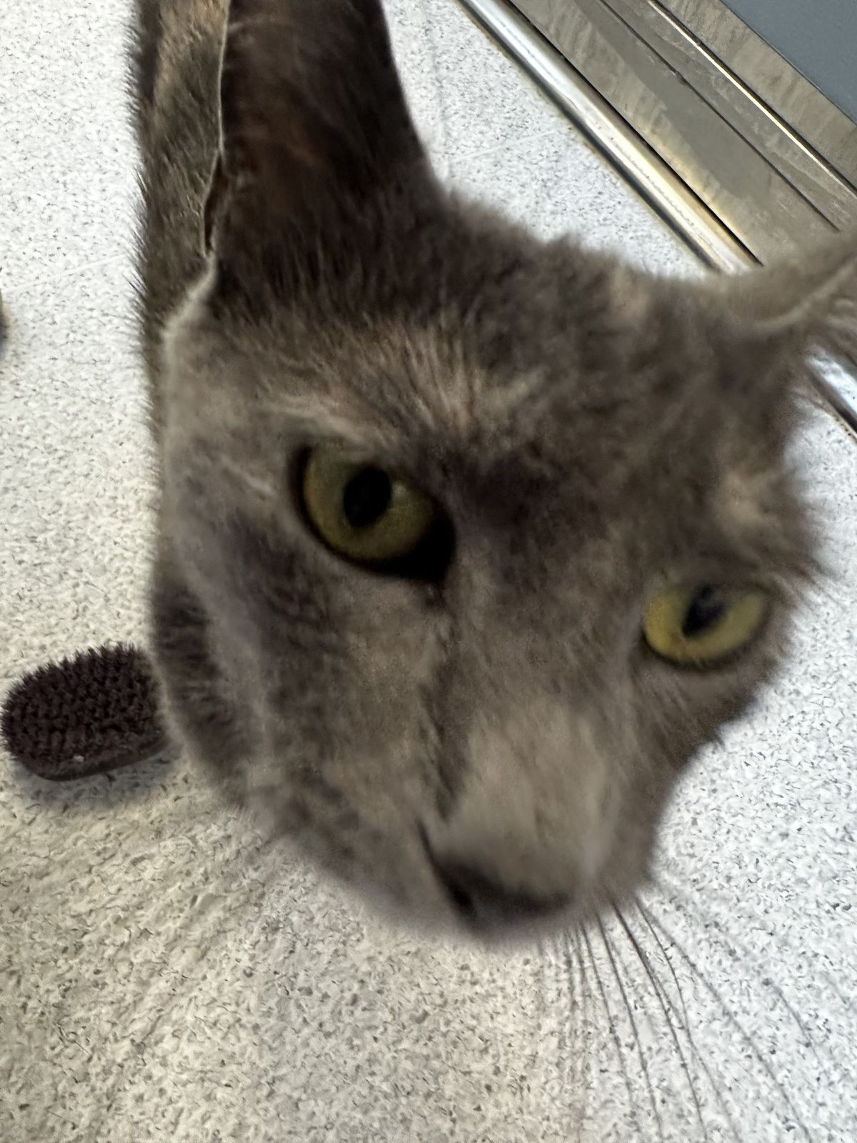 Gallery image: Angel