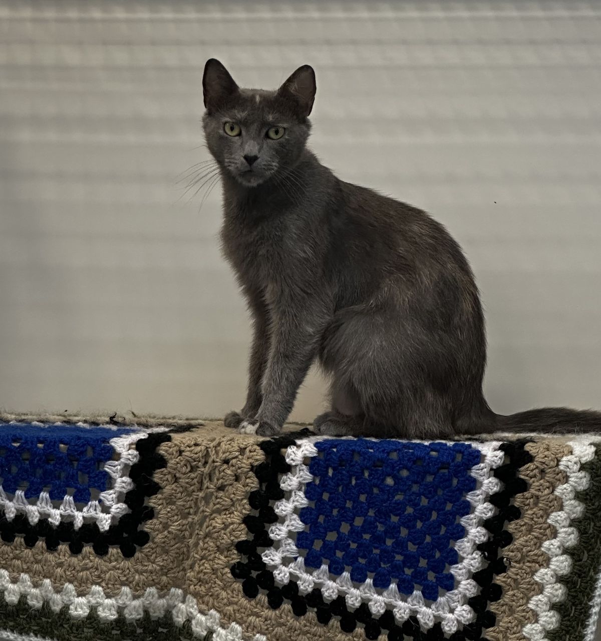 Gallery image: Angel