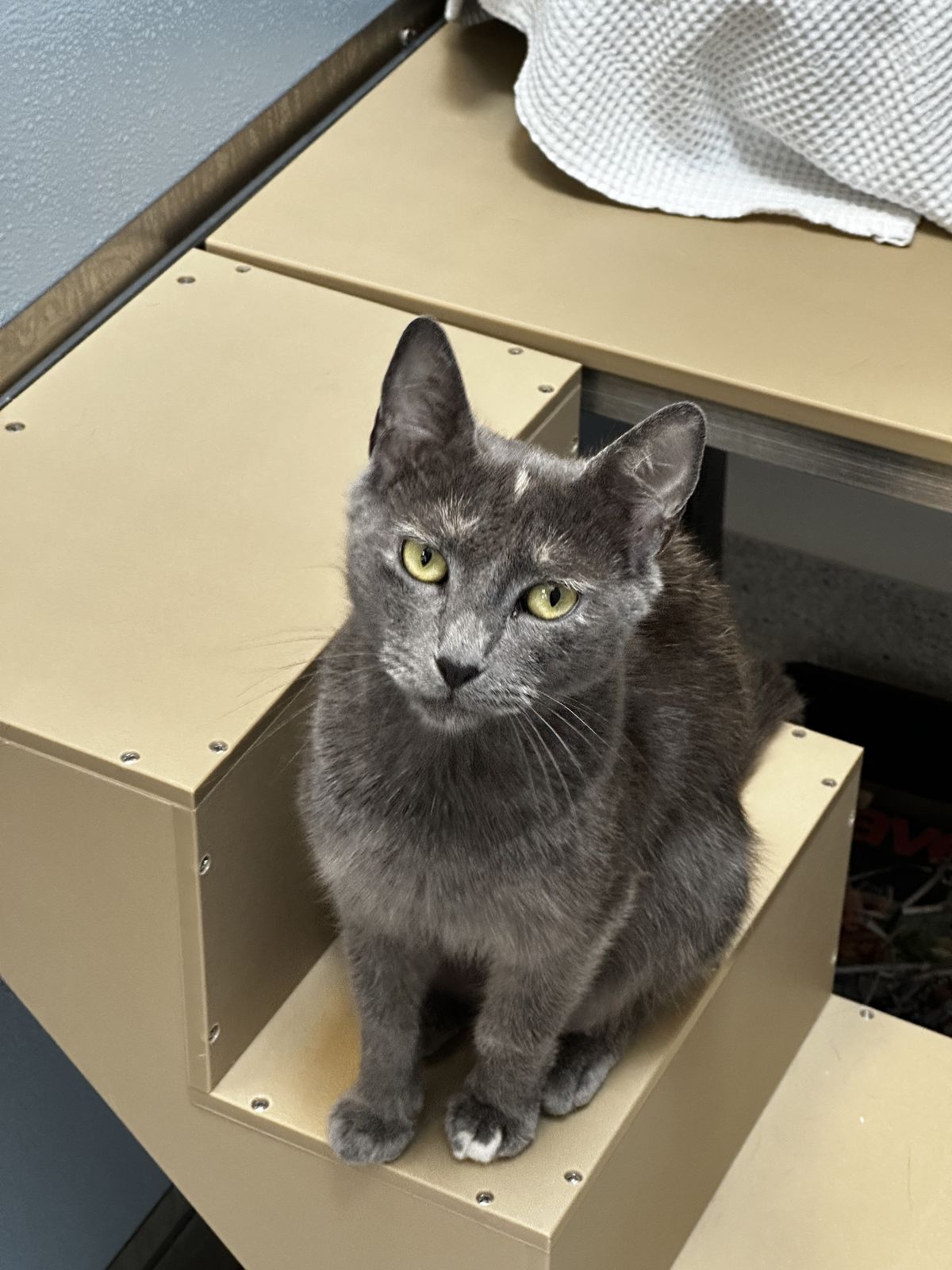 Gallery image: Angel