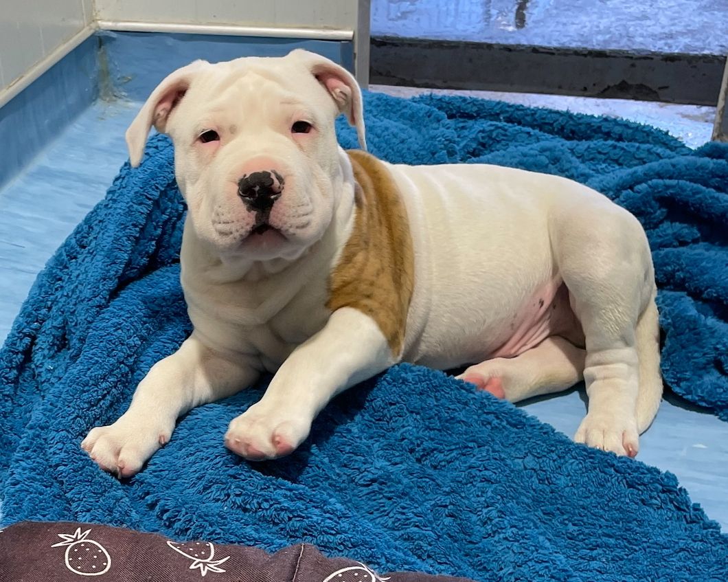 Gallery image: Frank