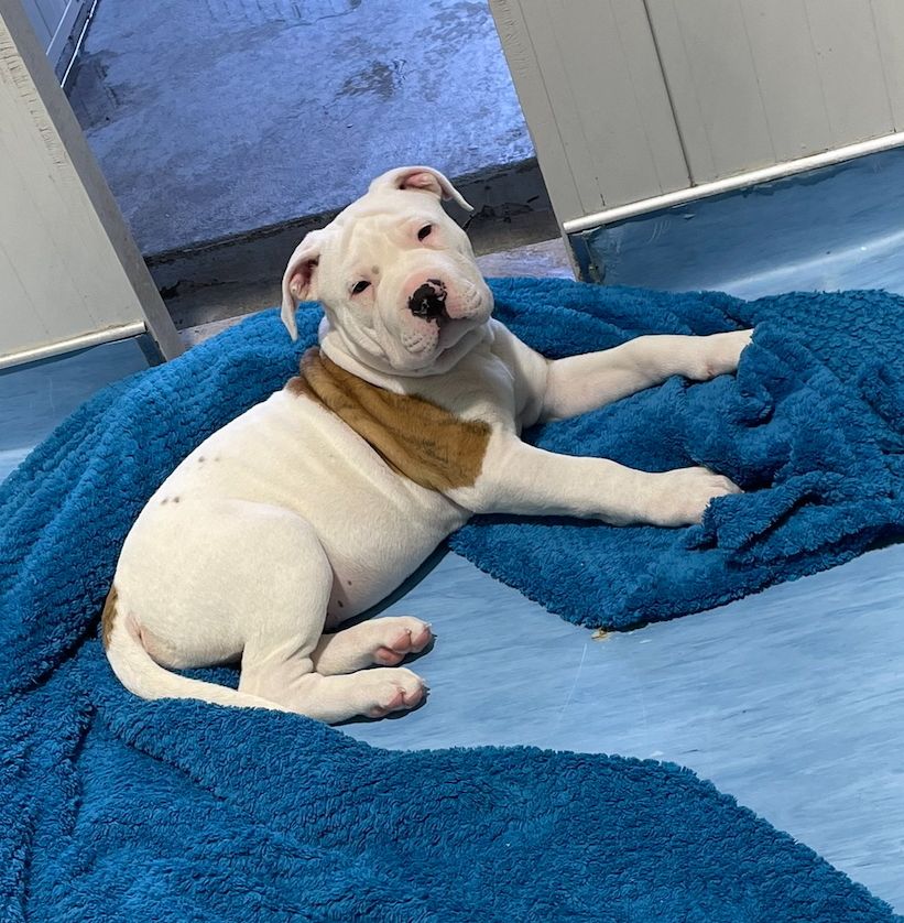 Gallery image: Frank