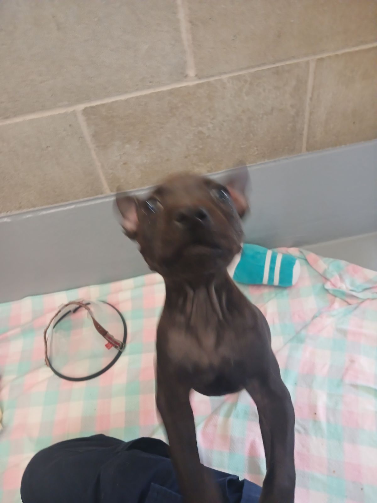 Gallery image: Nolan