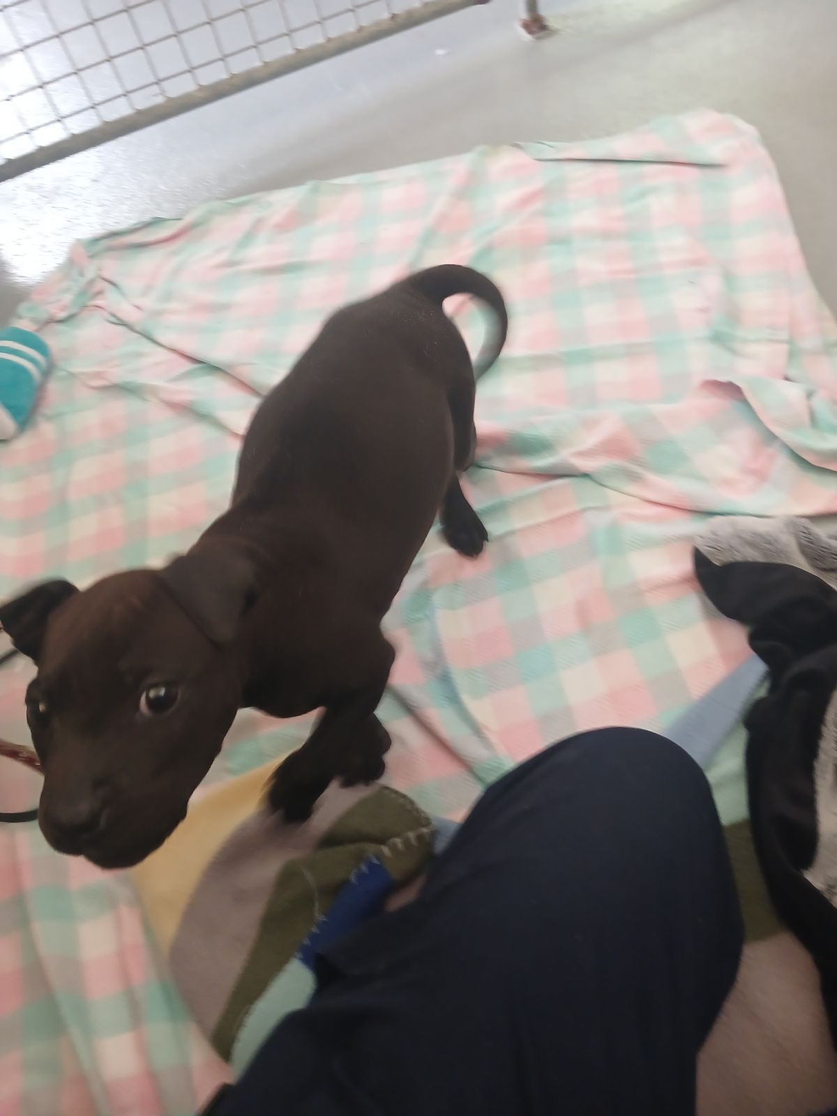 Gallery image: Nolan