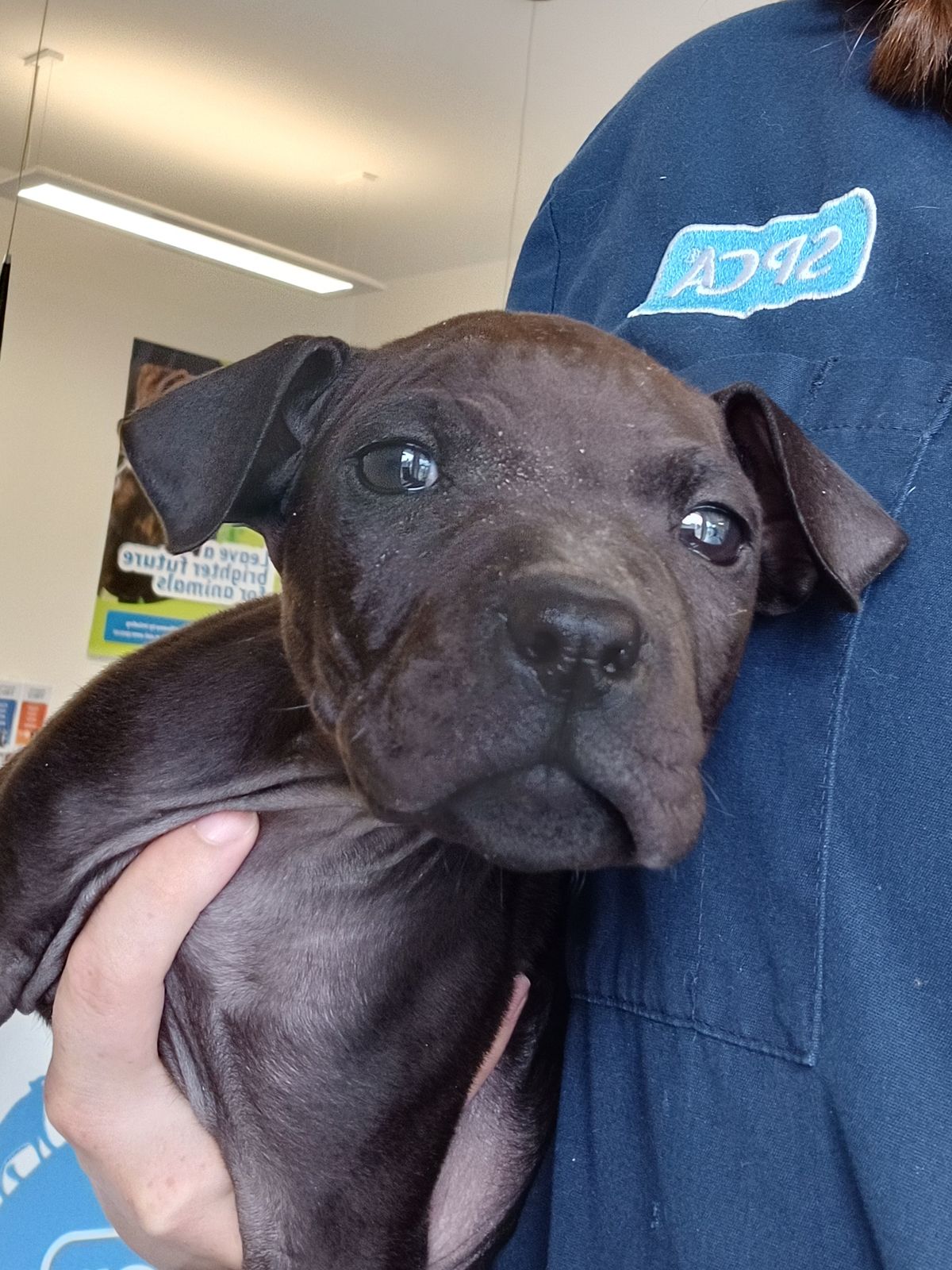 Gallery image: Nolan