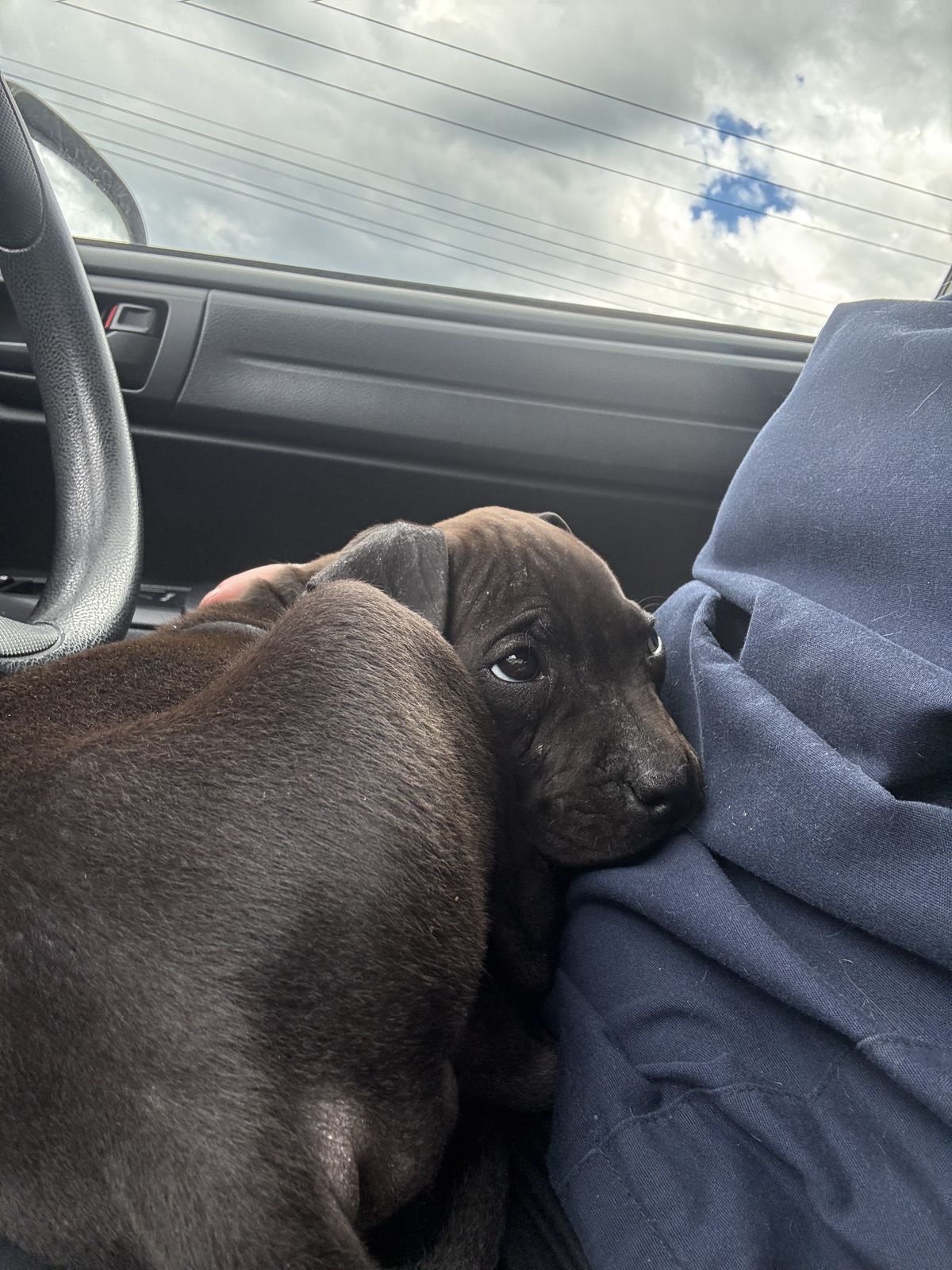 Gallery image: Nolan