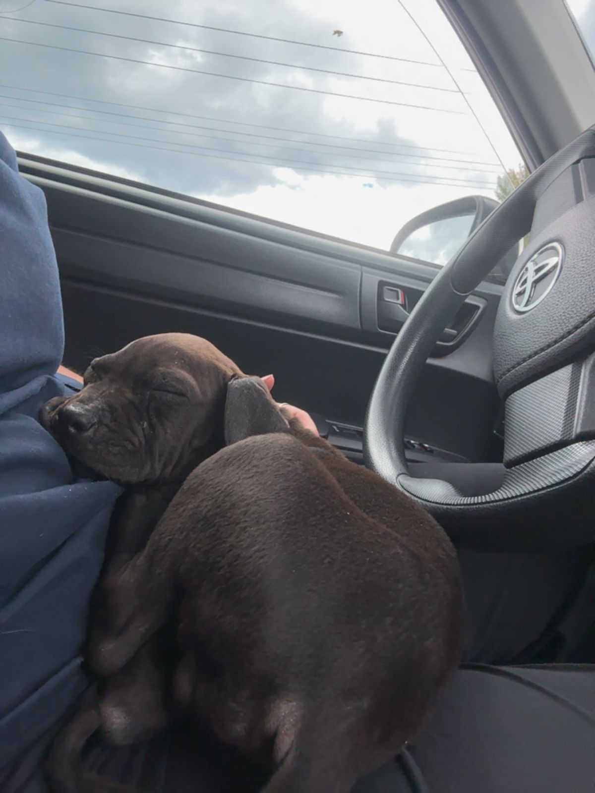 Gallery image: Nolan