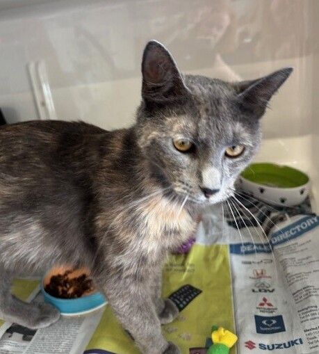 Gallery image: Esther