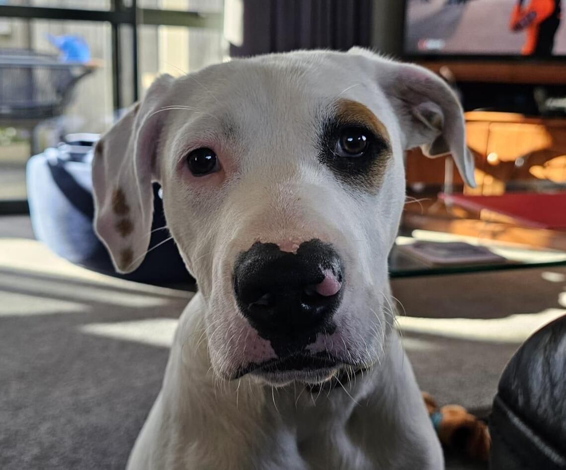 Gallery image: Wesley