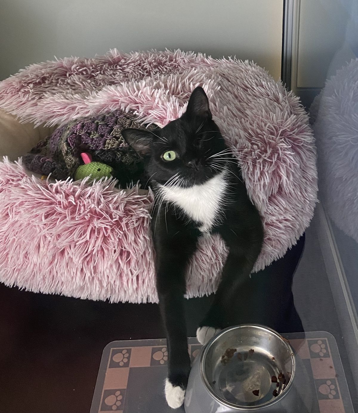 Gallery image: Coriander