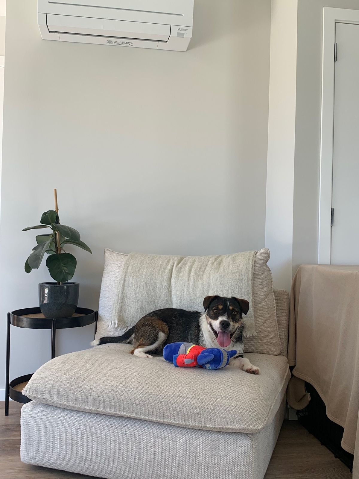 Gallery image: Chunk