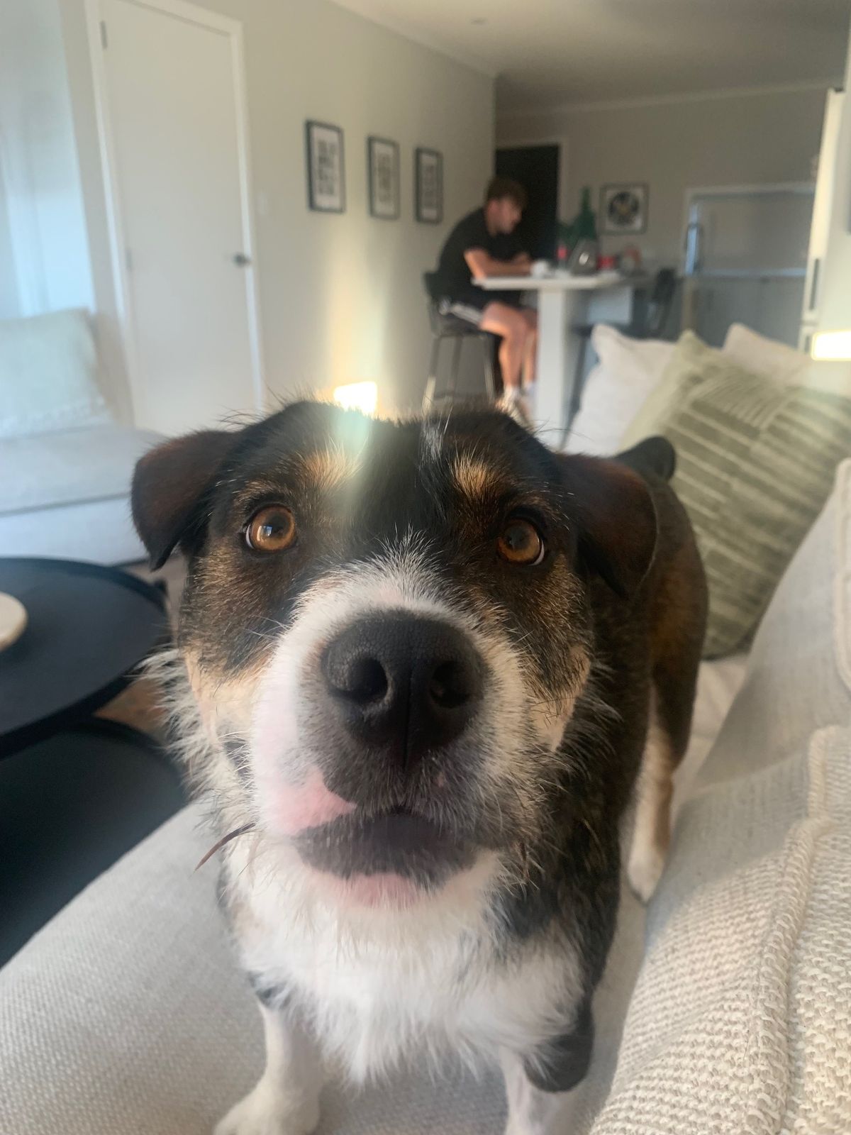 Gallery image: Chunk