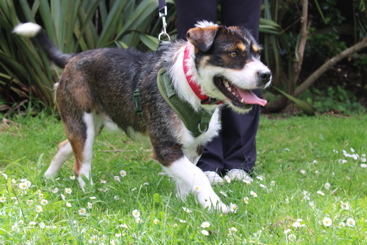 Gallery image: Chunk