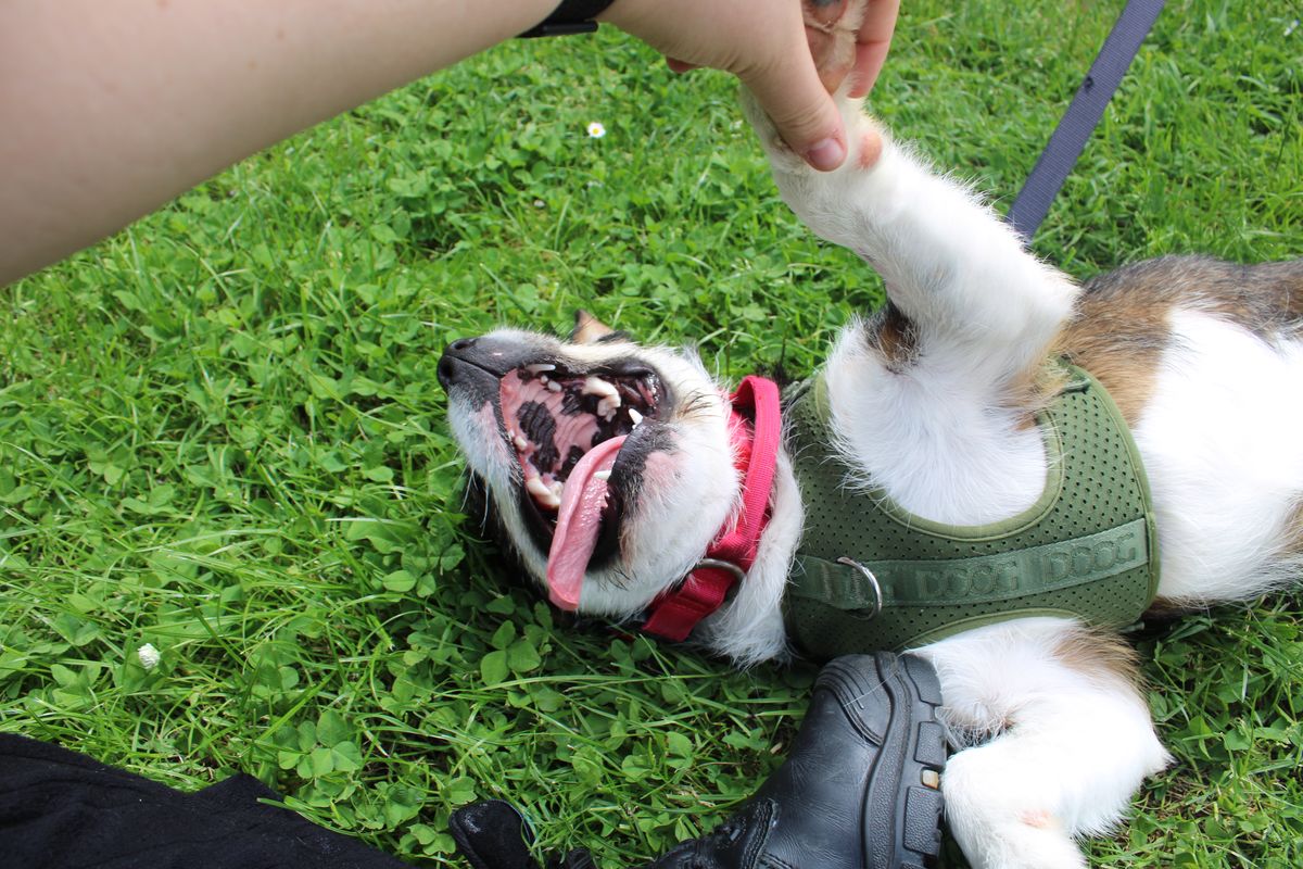 Gallery image: Chunk