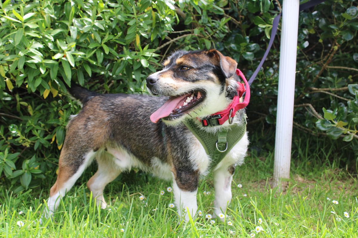 Gallery image: Chunk