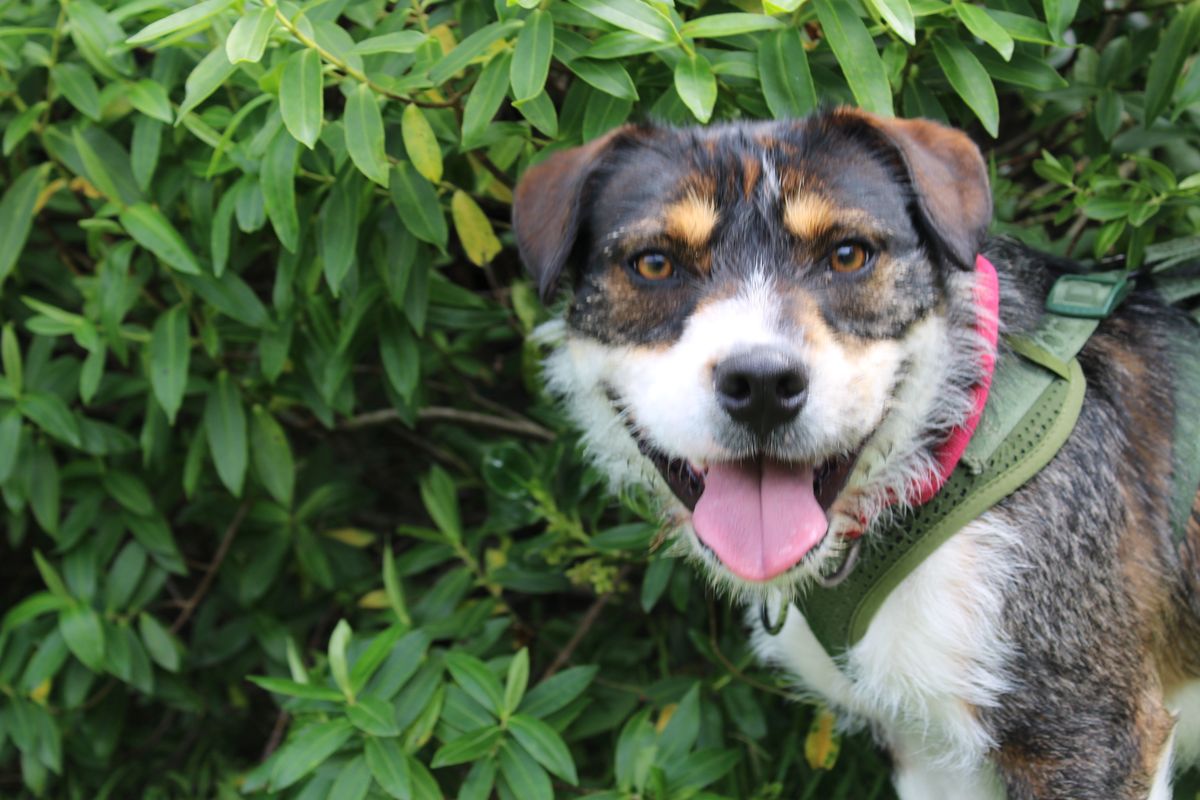 Gallery image: Chunk