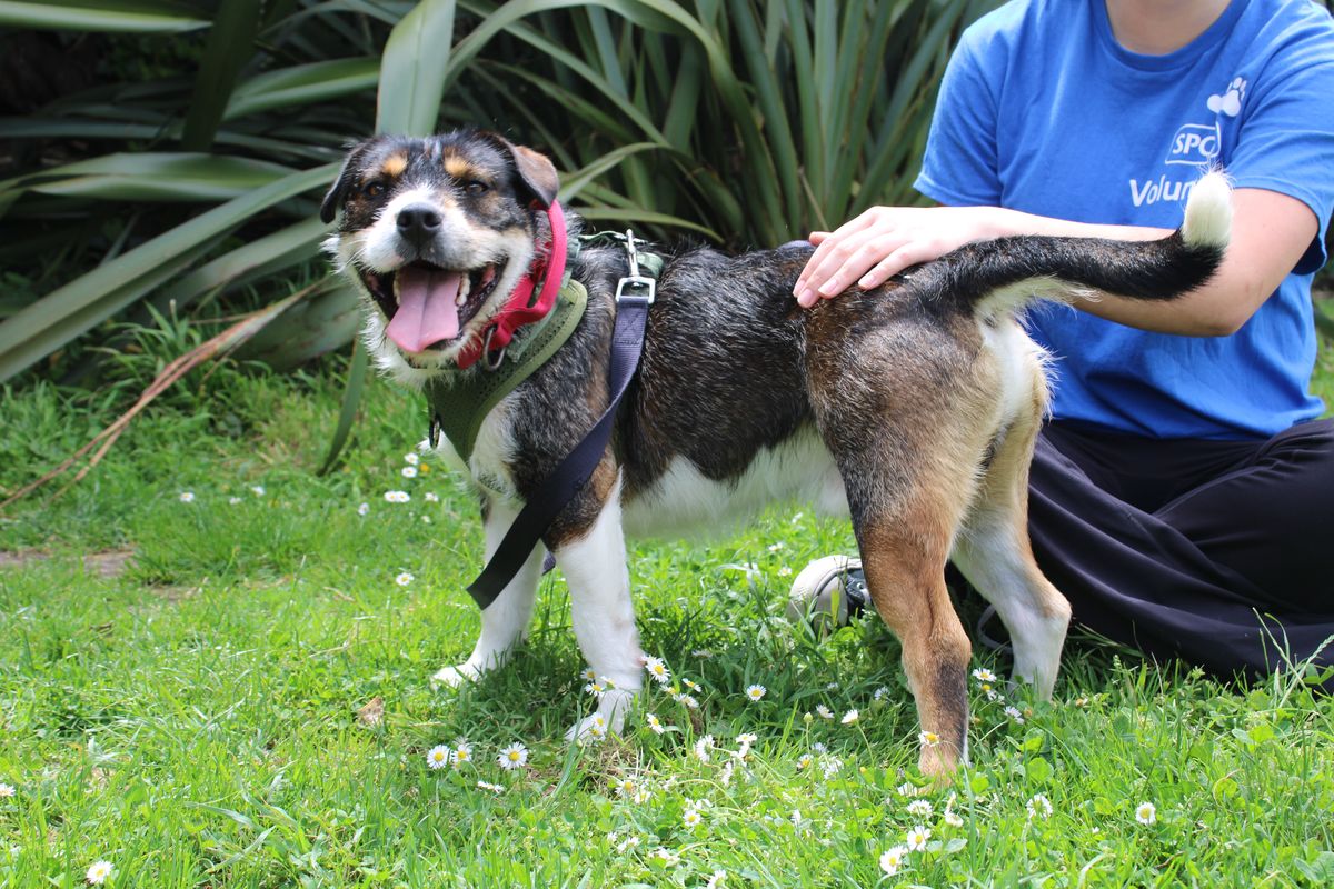 Gallery image: Chunk