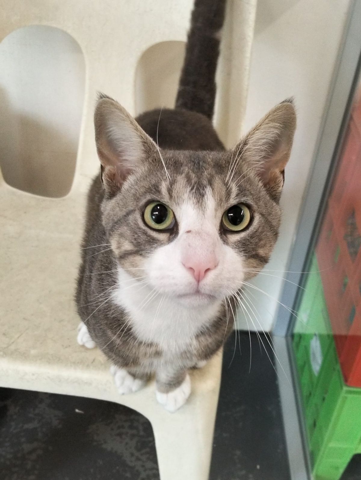 Gallery image: Pretty Boy