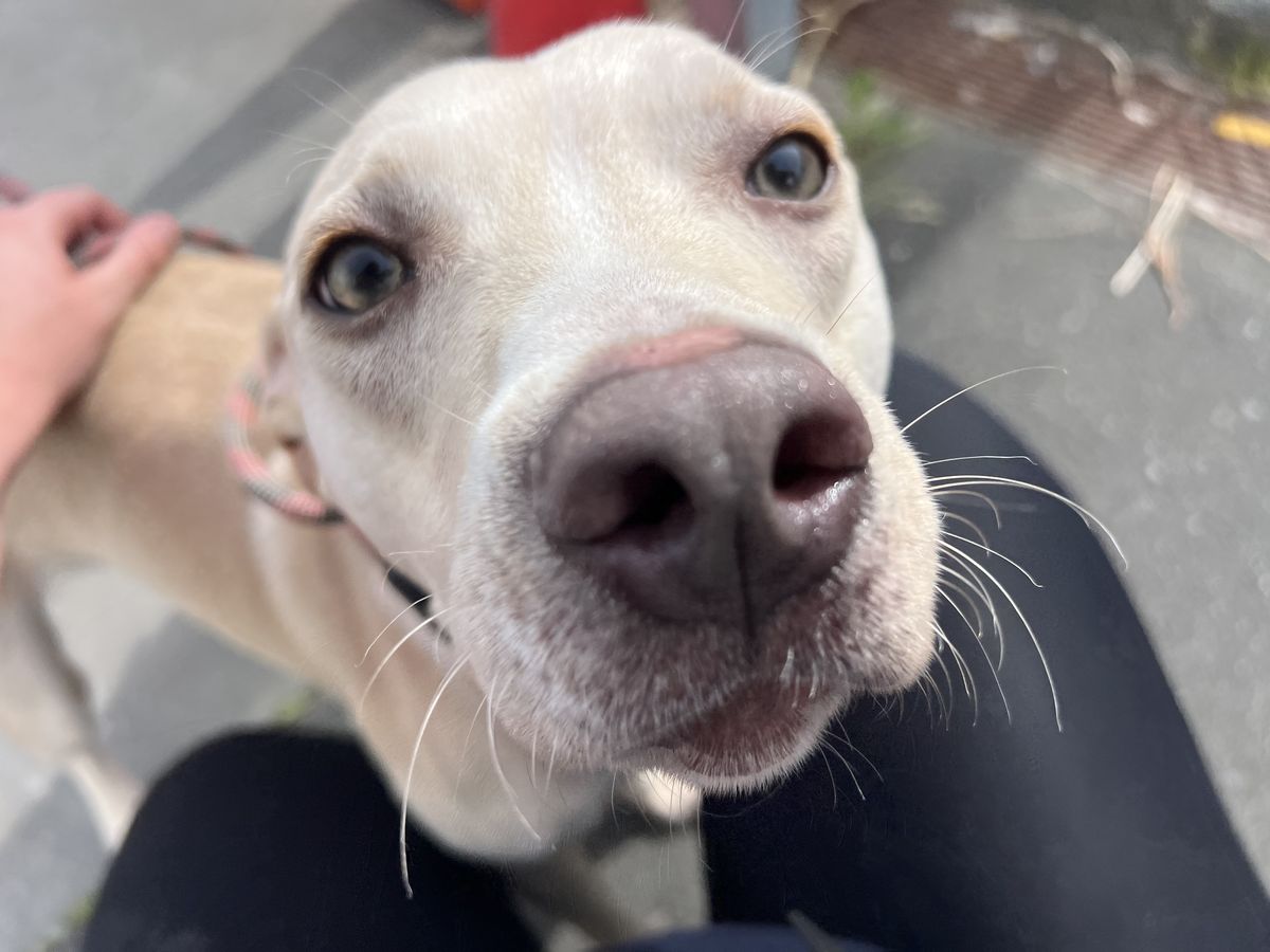 Gallery image: Mayday