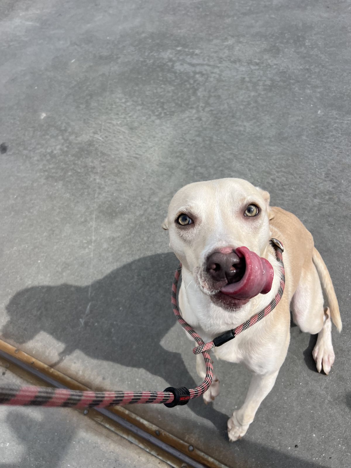 Gallery image: Mayday