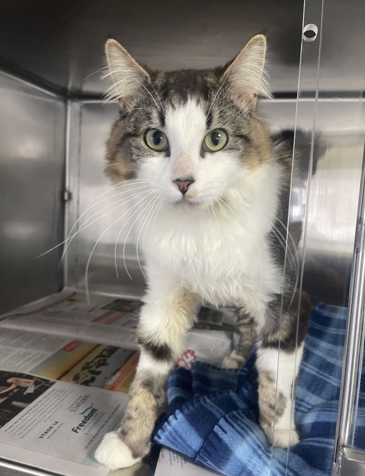 Gallery image: Floofy