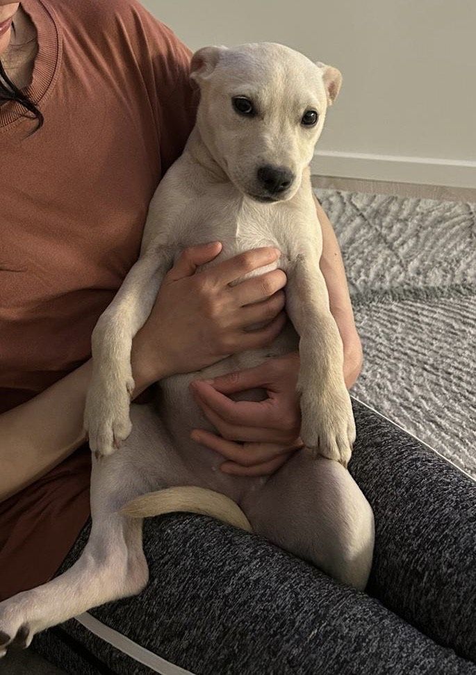 Gallery image: Pearl