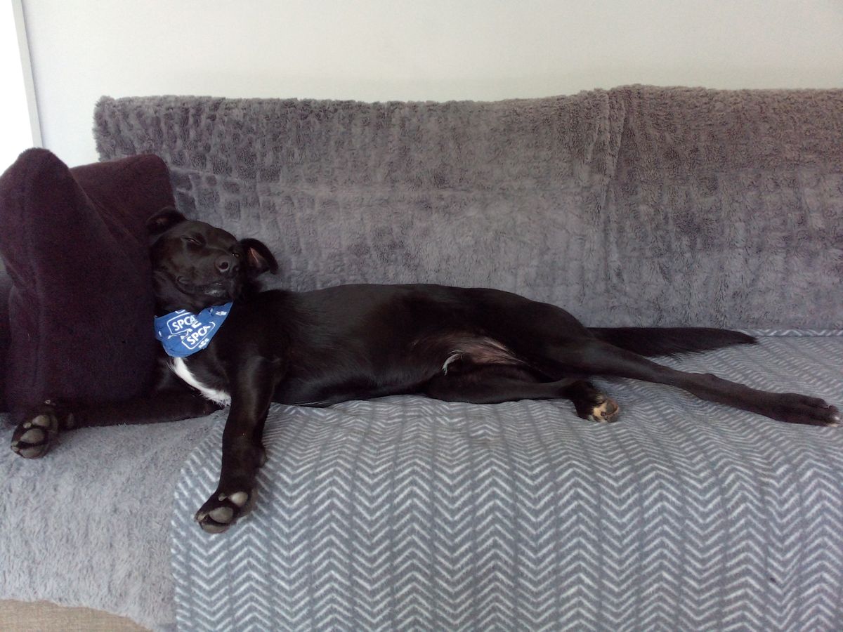 Gallery image: Lucky