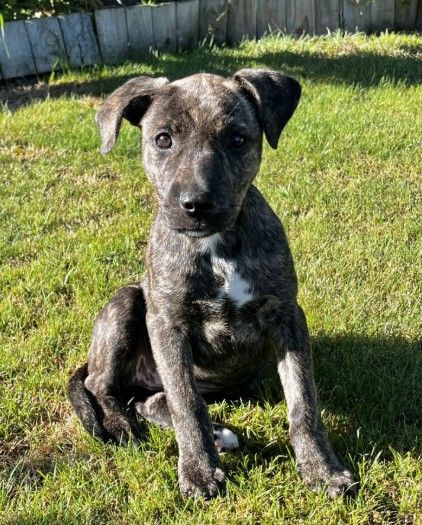 Gallery image: Winnie