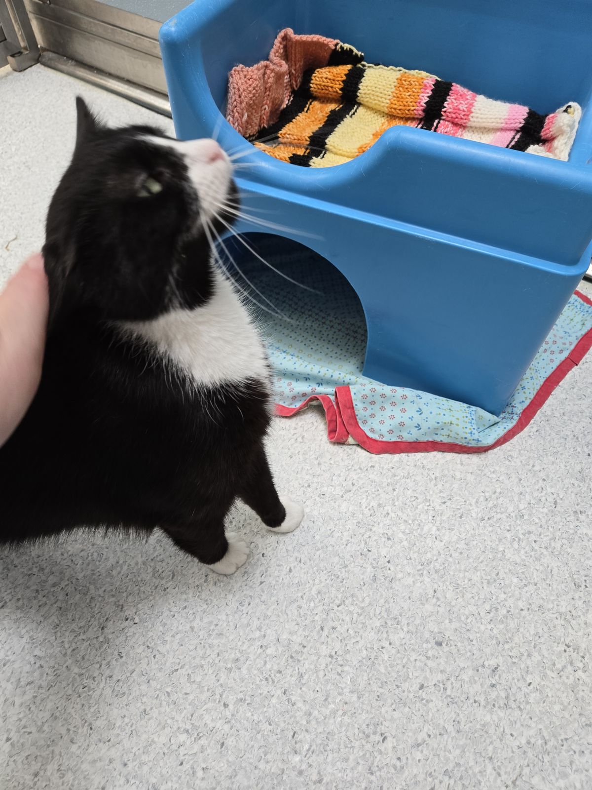 Gallery image: Diana