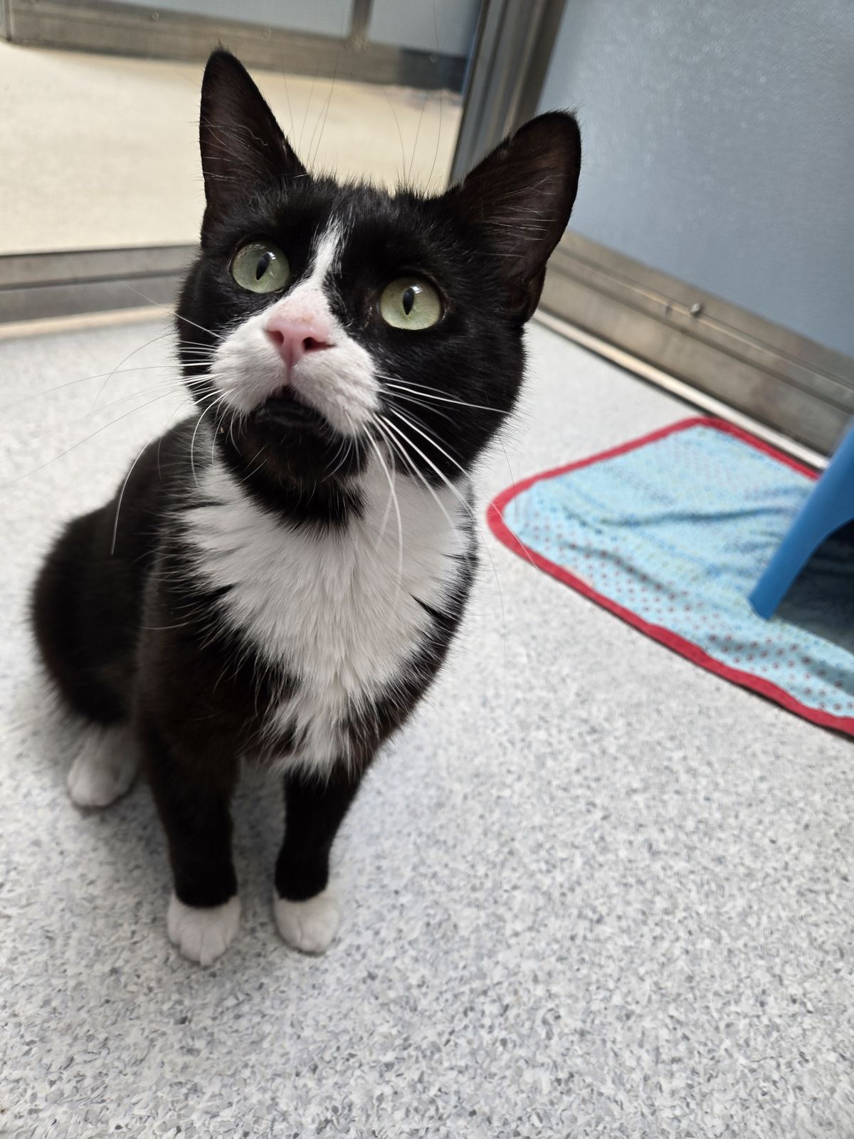 Gallery image: Diana