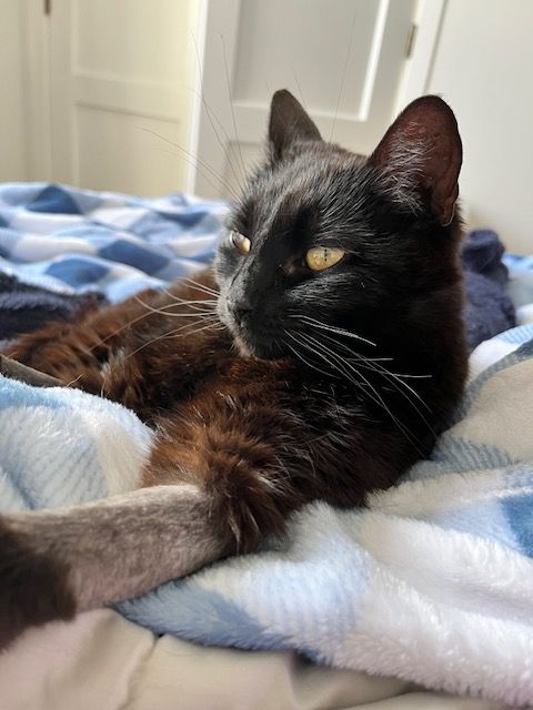 Gallery image: Karyn Black 