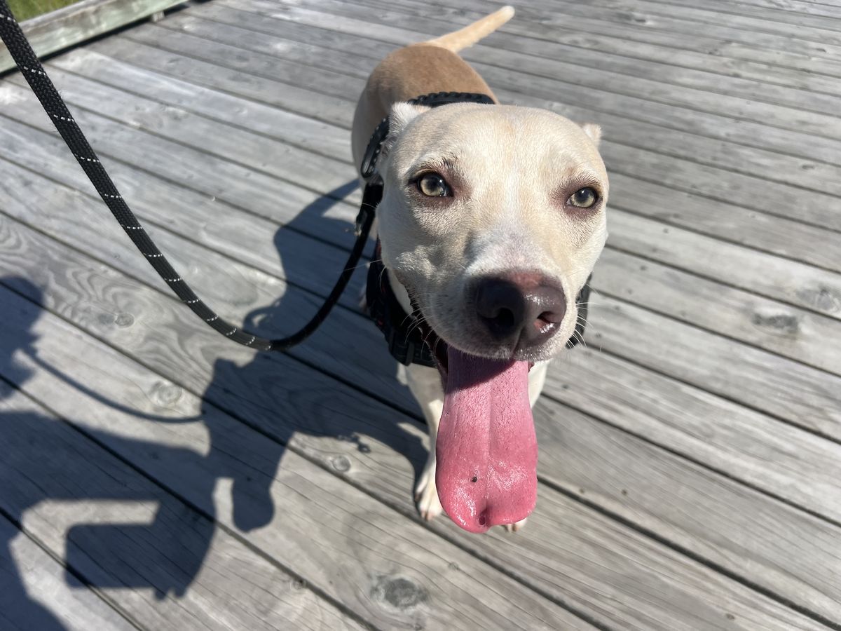 Gallery image: Mayday