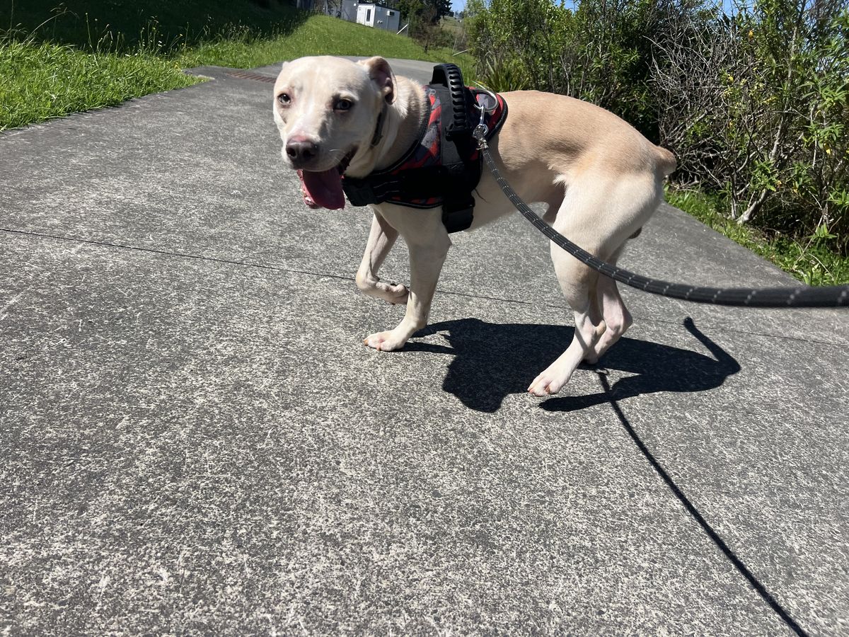 Gallery image: Mayday