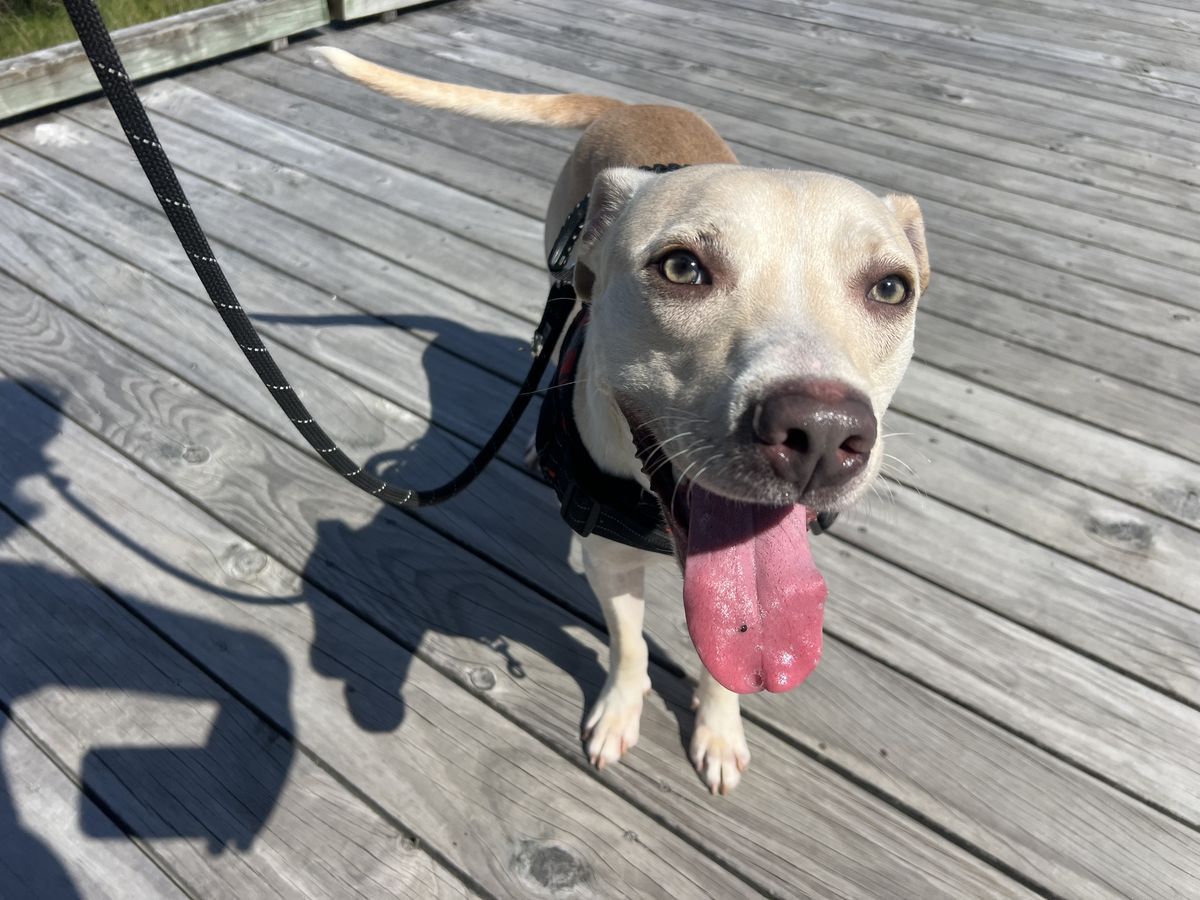 Gallery image: Mayday