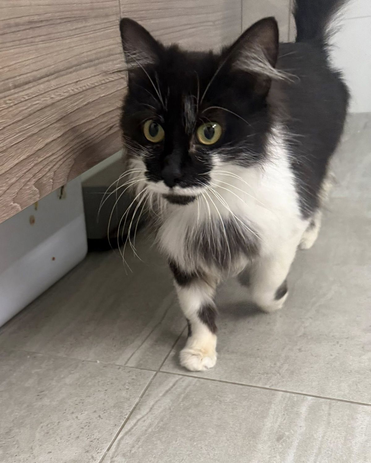 Gallery image: Gabriella