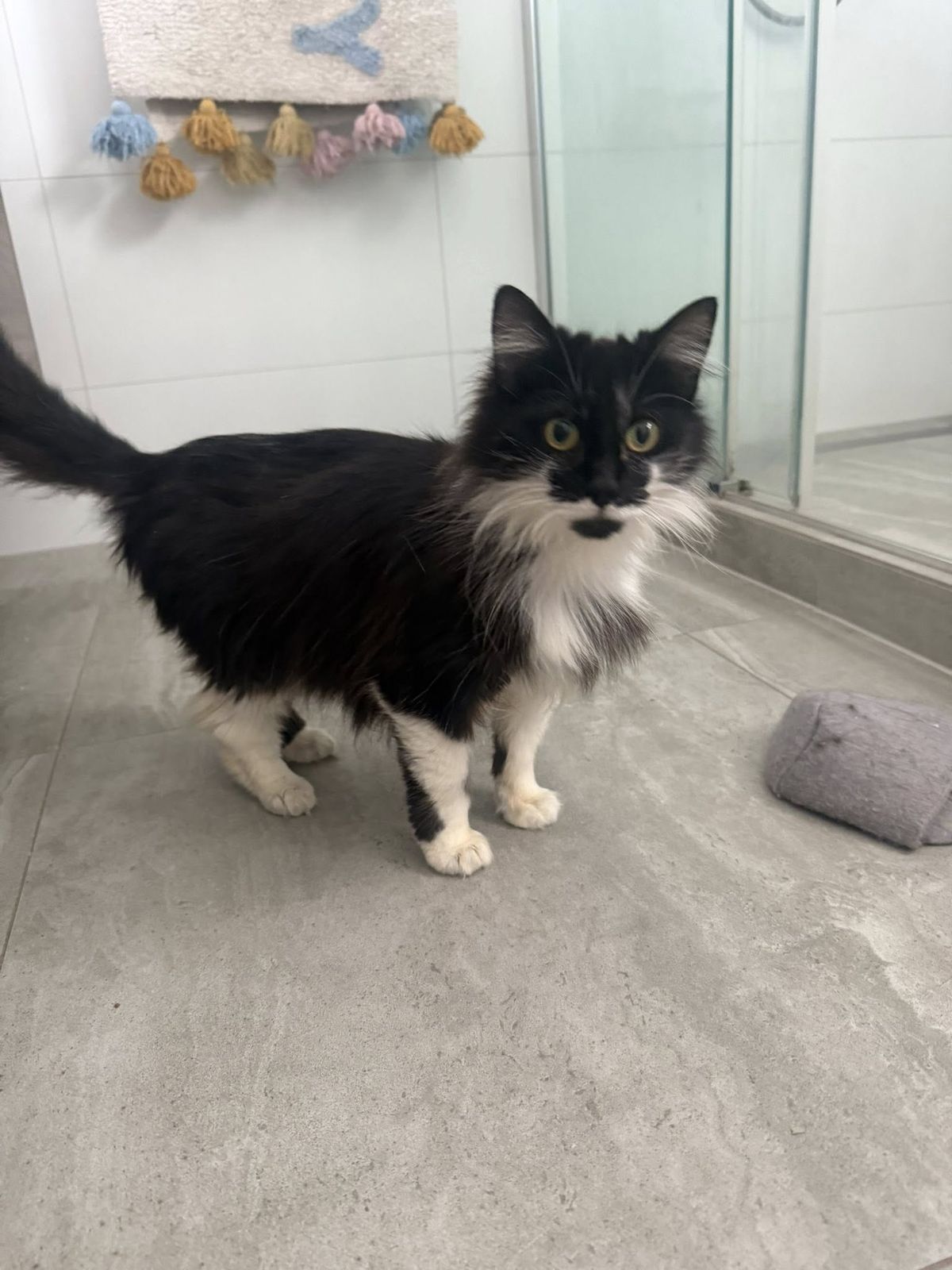 Gallery image: Gabriella