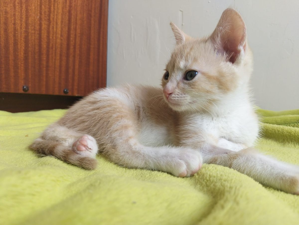 Gallery image: George