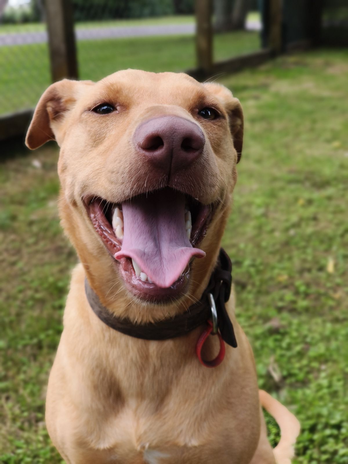 Gallery image: Bella