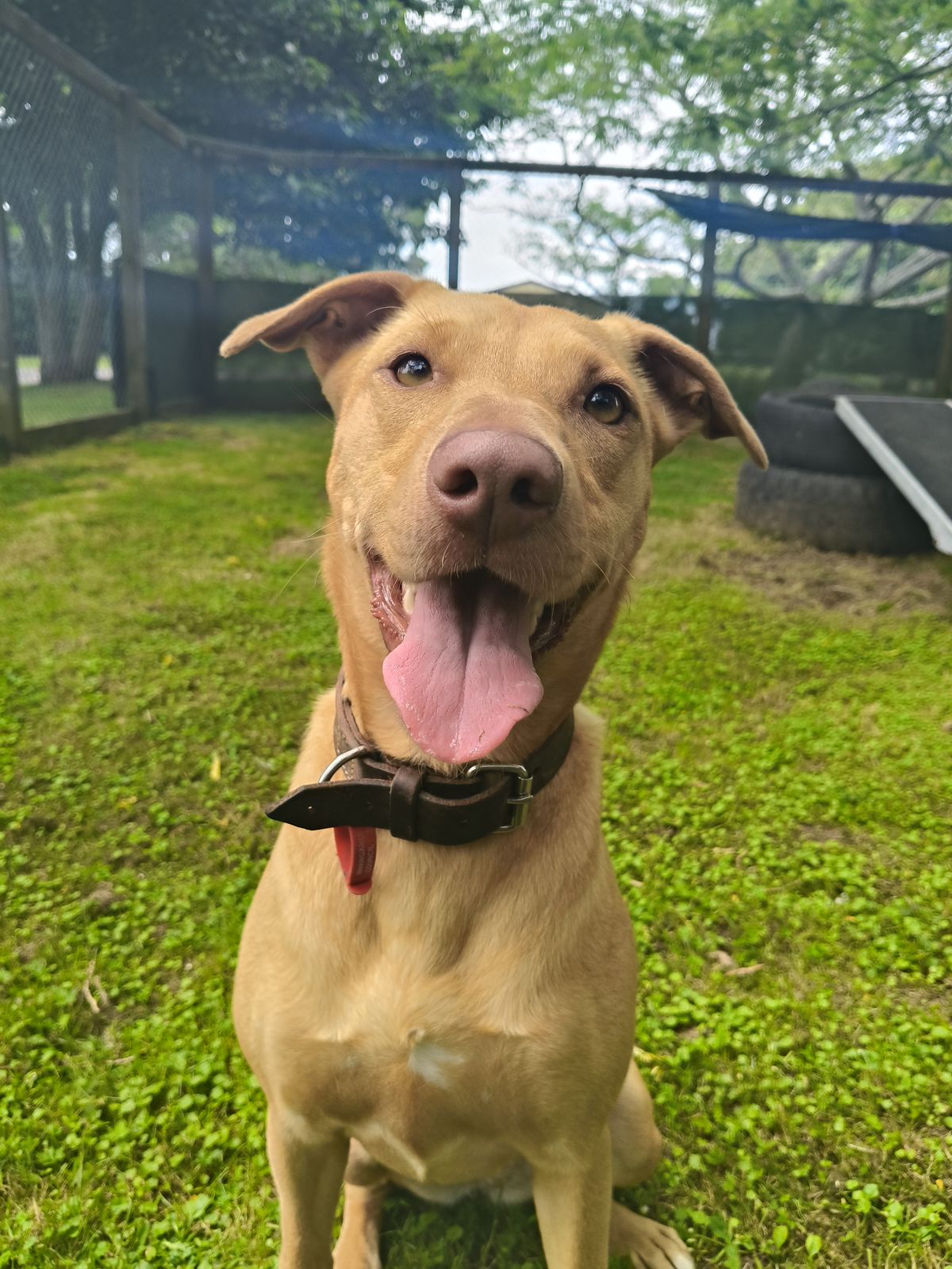 Gallery image: Bella