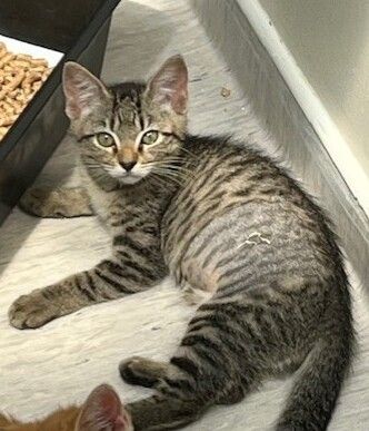 Gallery image: Winter