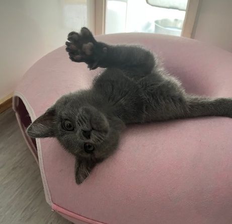 Gallery image: Sally