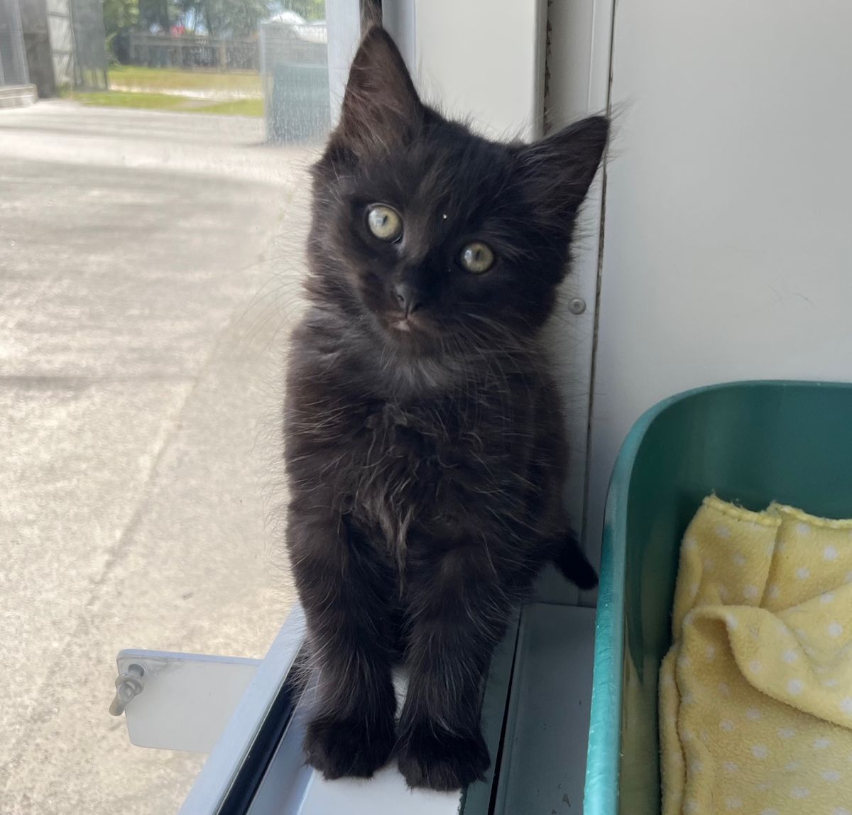 Gallery image: Gatsby