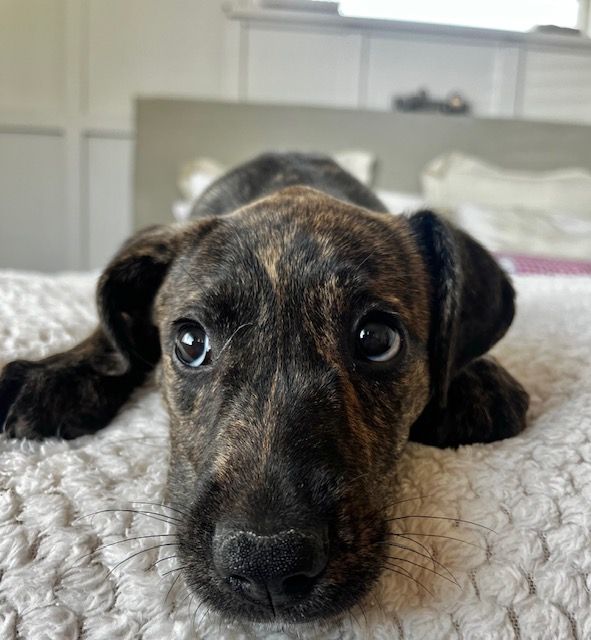 Gallery image: Winnie