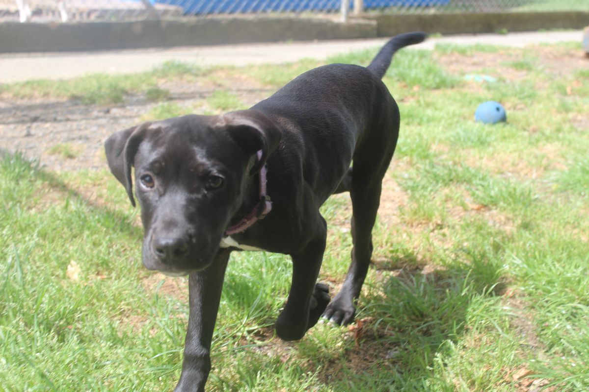 Gallery image: Alice