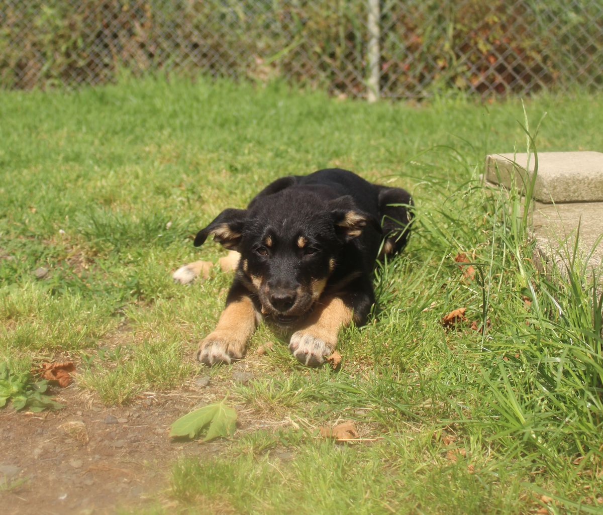 Gallery image: Jenny